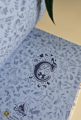 دفتر سندريللا