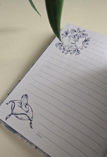 دفتر سندريللا