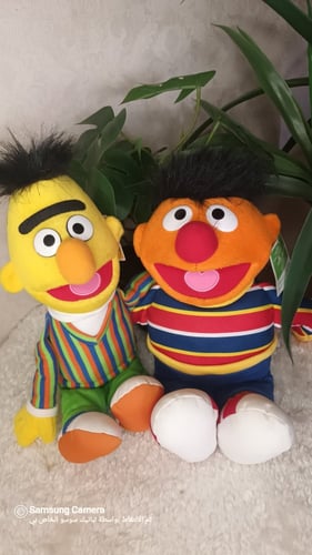 دمية انيس و بدر مقاس متوسط