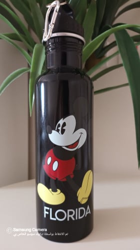 حافظة ماء ستيل 800 مل