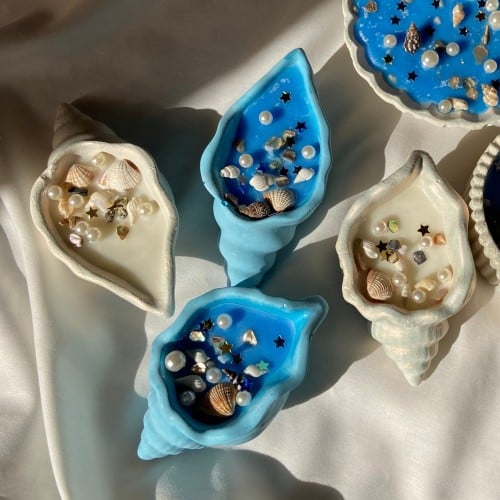 شمعة الصدفة الصغيرة