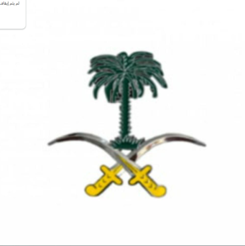 علامة شبك سيفين ونخلة فضي