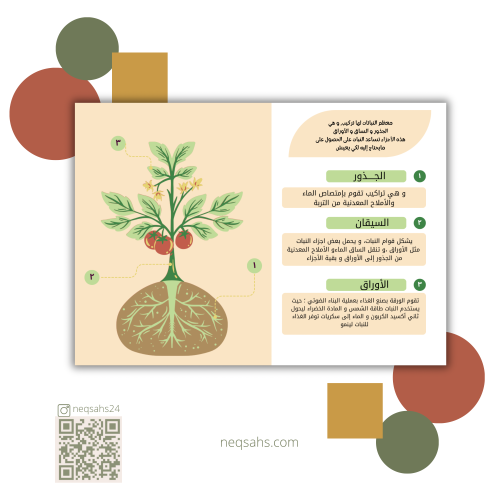 مطويه تراكيب واجزاء النباتات ( علوم صف ثالث)