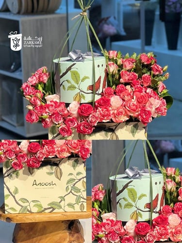 تنسيق شوكلت انوش