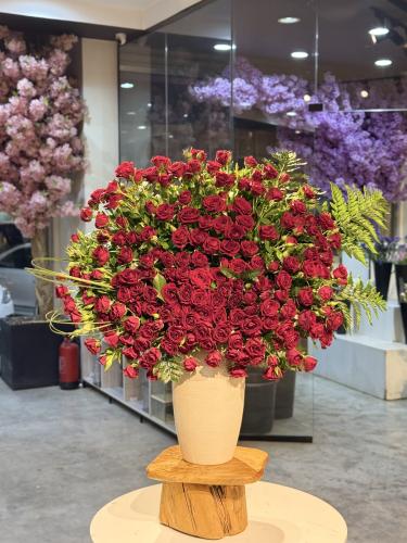 فازة عيد الحب