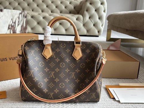 شنطة لويس فيتون سبيدي 30 ماستر