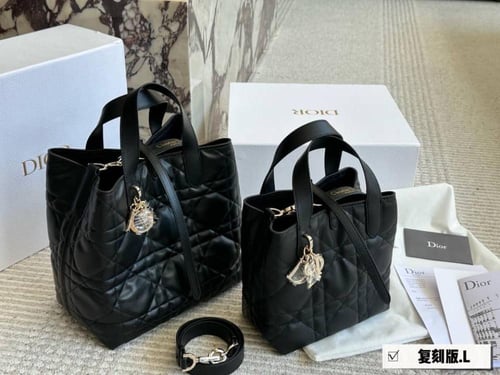 شنطة يد ديور ماستر