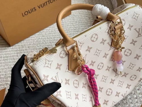 شنطة سبيدي لويس فيتون ماستر كواليتي