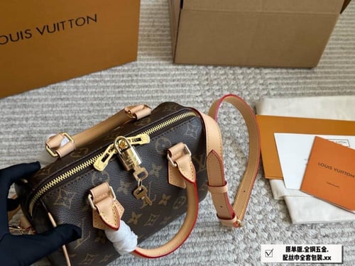 شنطة لويس فيتون سبيدي 20 ماستر