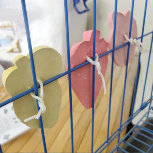 حجر المعادن لصحة الاسنان(عضاضة)