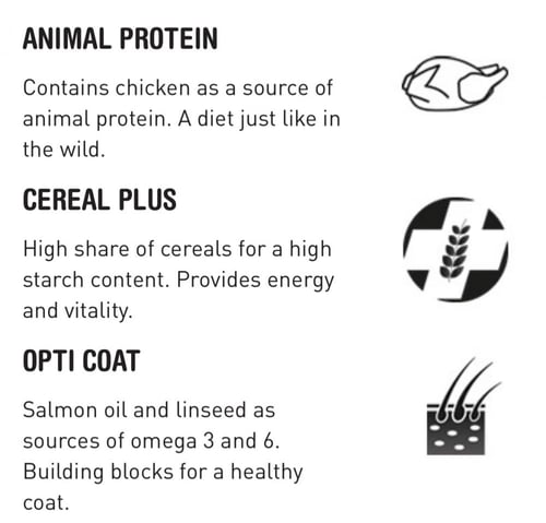 الغذاء الكامل من الدجاج