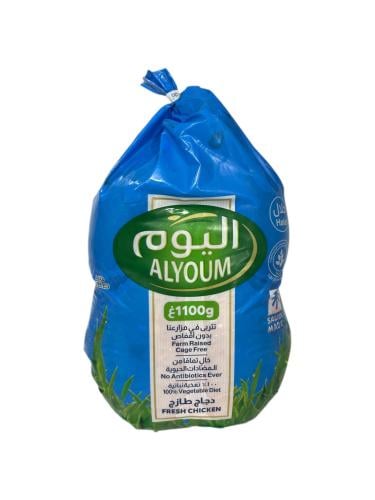 دجاج اليوم مبرد 1100جرام