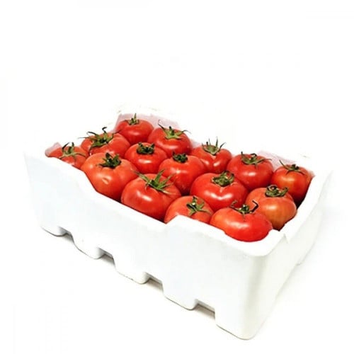 طماط- فلين كبير