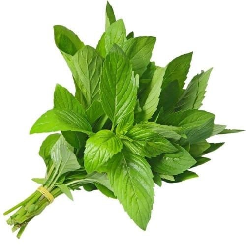 ملوخيه - حزمة