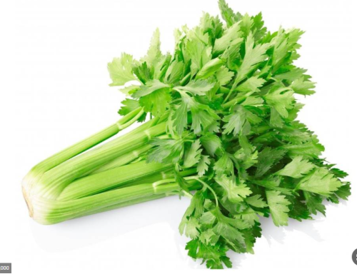 كرفس واحد ربطة