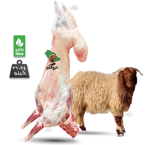 خروف نعيمي كامل وزن 24 الى 26 Kg