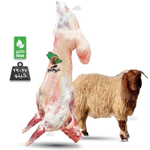خروف نعيمي كامل وزن 27 الى 29 Kg
