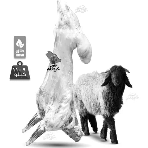 خروف نعيمي كامل وزن 9 الى 11 Kg