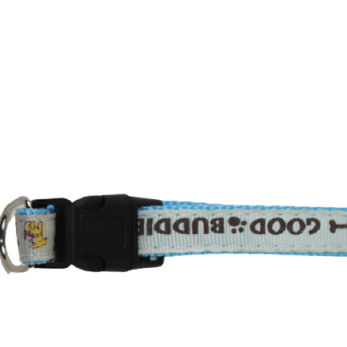 طوق قطط وكلاب