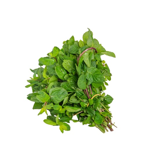 نعناع طازج 5 حزم