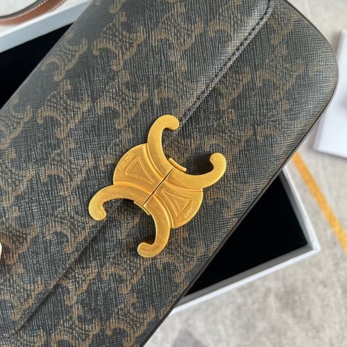 حقيبة ماركة سيلين ماستر شامل الملحقات