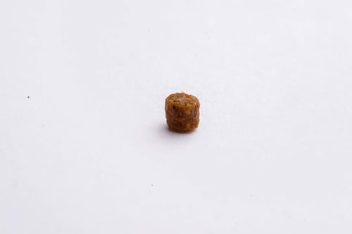 طعام جاف دجاج للقطط الصغيره CLUB 4 PAWS