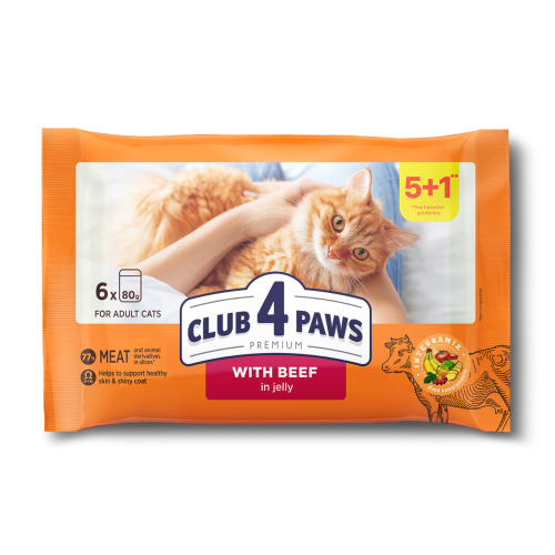 طعام رطب للقطط بالحم العجل مع الجيلي 6 اكياس * 80 جرام club 4 paws