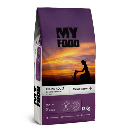 طعام قطط جاف دجاج ماي فوود