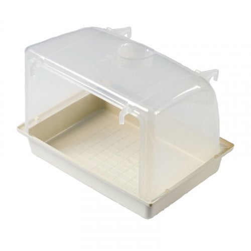 مسبح طيور كبير