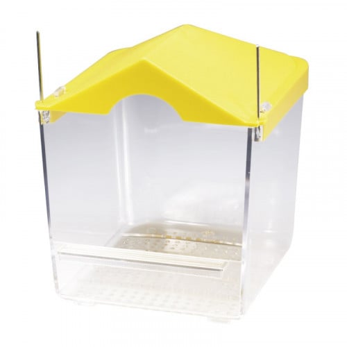 مسبح طيور صغير