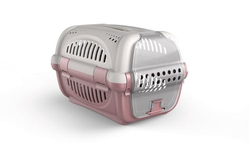 شنطة قطط كبيرة