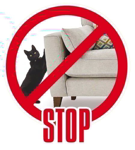 خداشة مستطيلة مع كورة