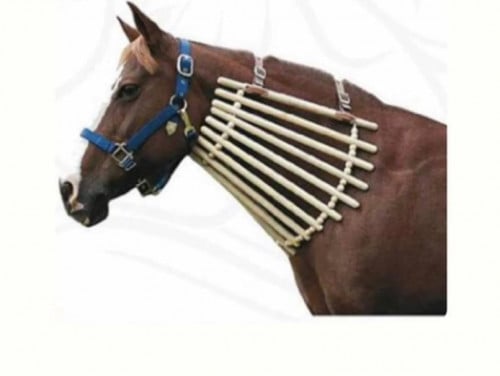 خشب رقبه لمنع الخيل من العادات السيئة