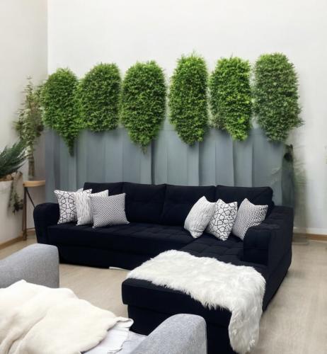 كنب صاله امريكي 2*3