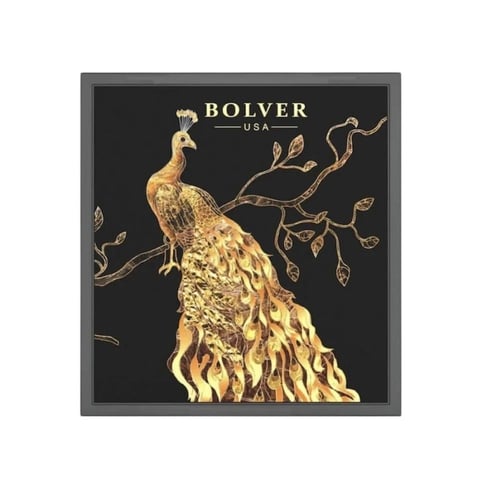 باليت ظلال عيون بولفير E04