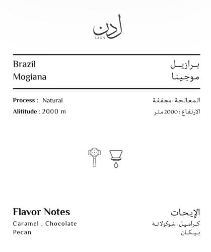 برازيلي - موجينا مجفف