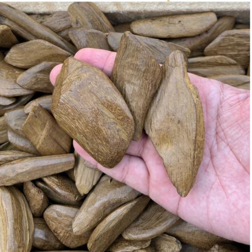 عود الشيخ موروكي للمناسبات