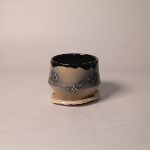 نجم يضئ الظلام