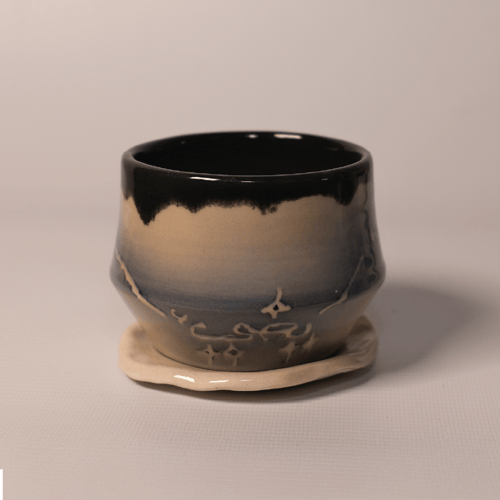 نجم يضئ الظلام