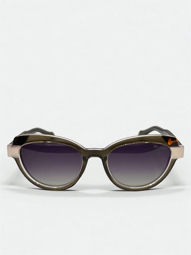 Olive Vision