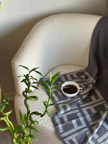 سكارف فندي ماستر