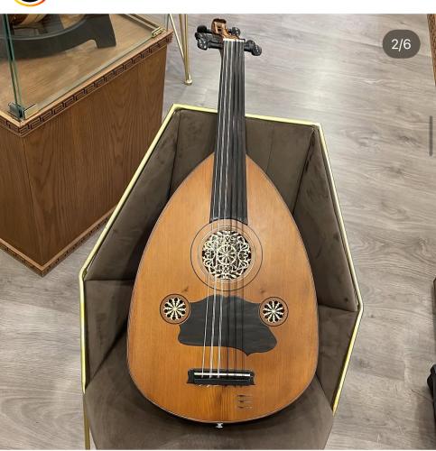 عود راني كهربائي ايكولايزر امريكي