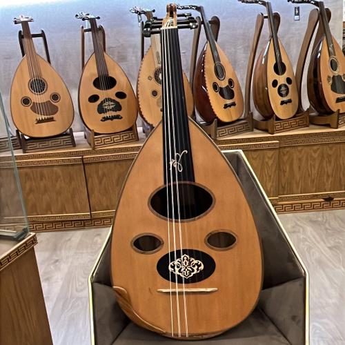 زرياب عراقي 19 فرسة متحركة