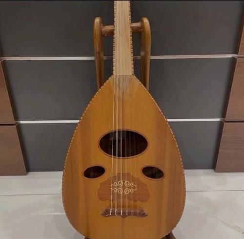 زرياب عراقي 1 (فرع الحمدانية)