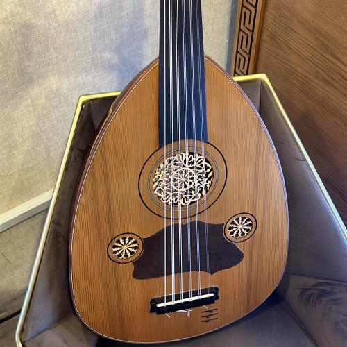 عود راني كهربائي ايكولايزر امريكي