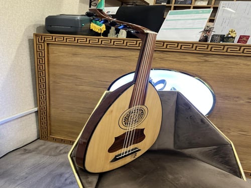 عود راني كهربائي ايكولايزر امريكي