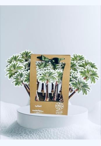 بوكس يوم التأسيس لمسة من الطبيعة وتراث النخل