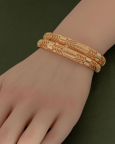 بناجر نسائية عصرية تصميم انيق / 2 حبة