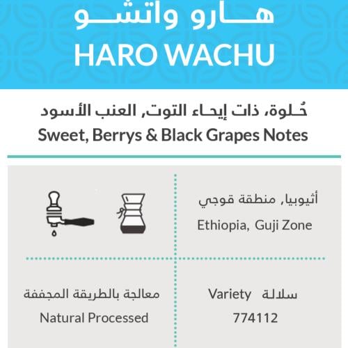 كفة | أثيوبيا هارو واتشو 250g