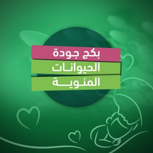 جودة السائل المنوي